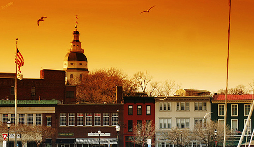 Anne Arundel Realtor  |   Local Real Estate Services from Vincent Goldsmith of Anne Arundel Properties :  local